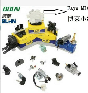 WENZHOU BOLAI AUTOMOTIVE PARTS CO.,LTD facility