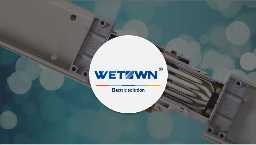 Wetown Electric Group Co.,Ltd facility