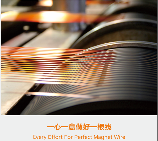 XIANDENG HOLDING GROUP CO., LTD. facility