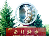 XIBEI BEARING CO., LTD. facility