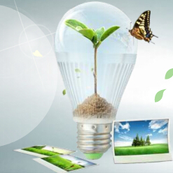 XINGTAI TUOYA PHOTOELECTRIC TECHNOLOGY CO., LTD. facility