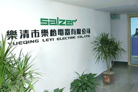 Yueqing Leyi Electric Co., Ltd. facility