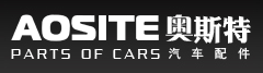 ZHEJIANG AOSITE AUTO PARTS CO.,LTD facility