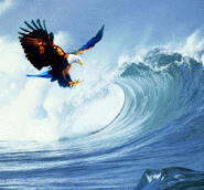 ZHEJIANG GOLDEN EAGLE CO., LTD.