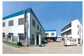 Zhejiang Longwei Christmas Lighting Co., Ltd. facility