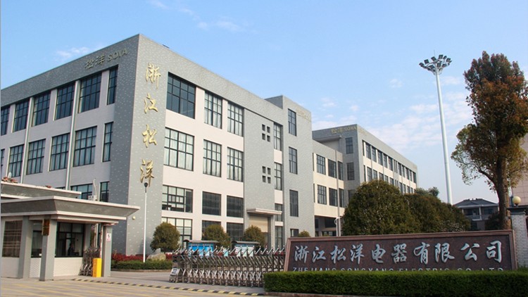 Zhejiang Songyang Electric Co,.Ltd facility