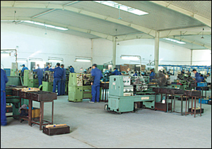 ZHEJIANG WUYI GONGLI ELECTRIC MACHINERY CO., LTD. facility