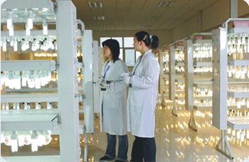 ZHEJIANG YANKON GROUP CO.,LTD. facility