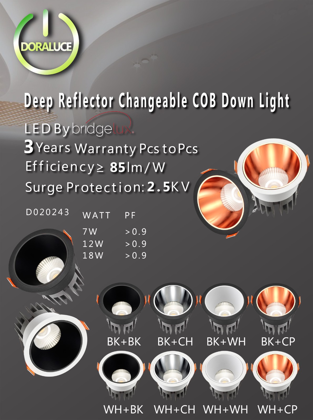 ZHONGSHAN DAORUI LIGHTING &EKECTRONIC LIMITED facility