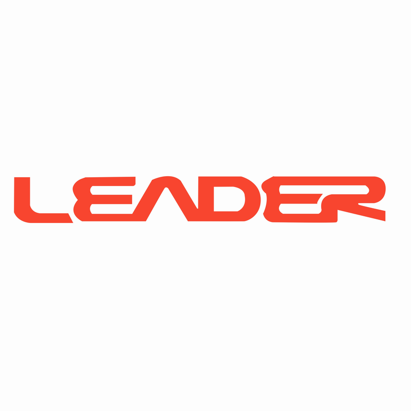 ANHUI LEADER ELECTRONICS MFG CO., LTD. logo