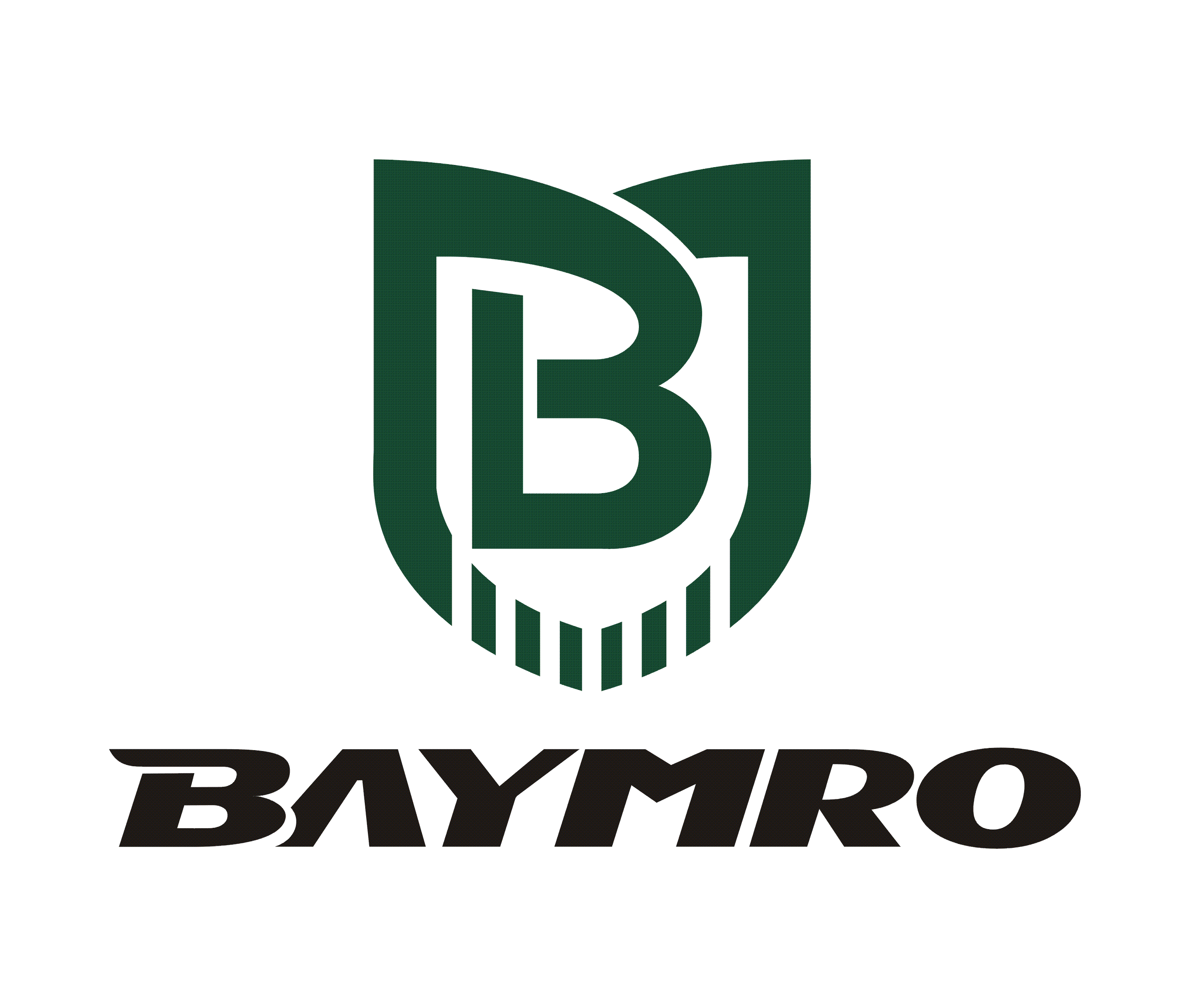 Baymro Safety China Co., Ltd. logo
