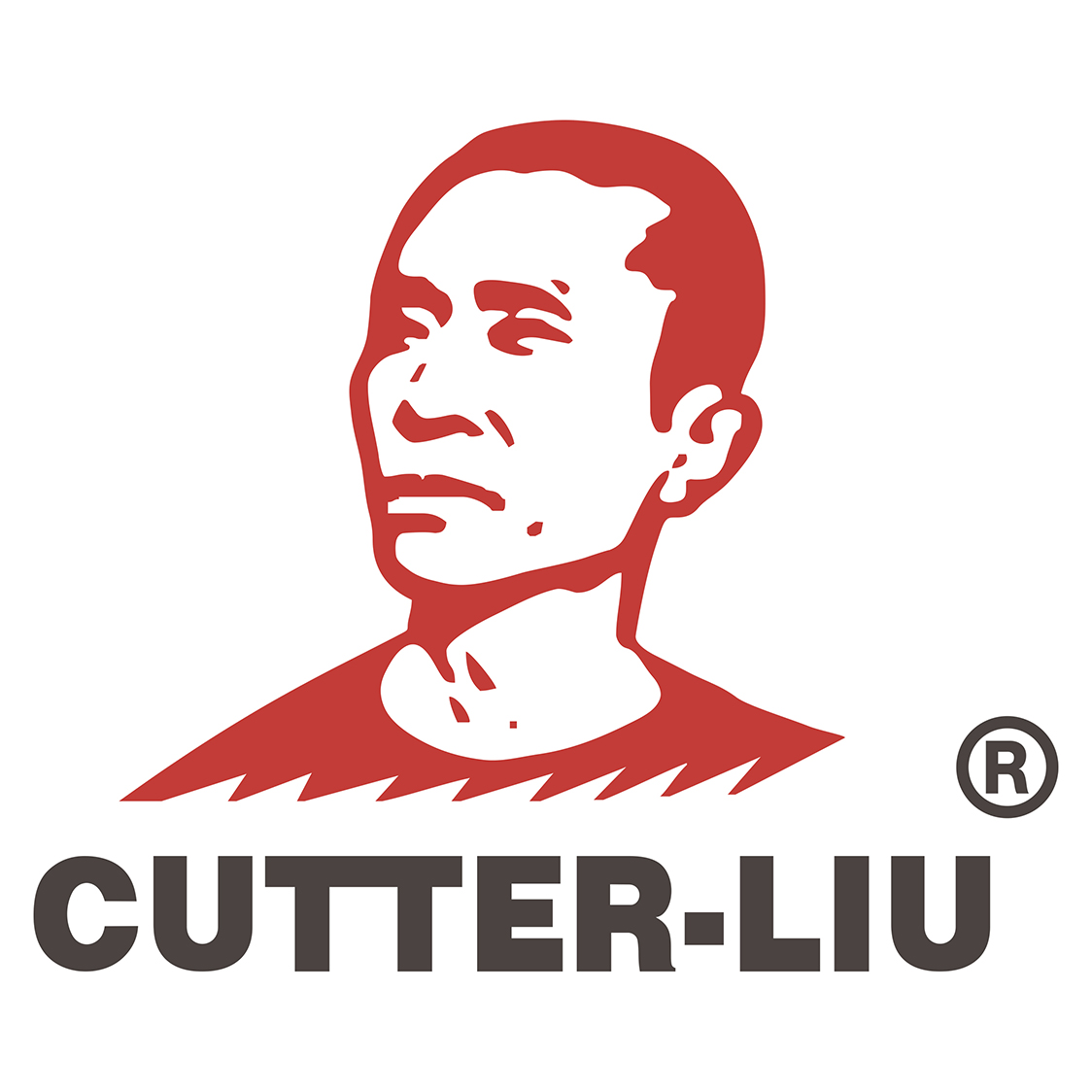 Beijing Cutter-Liu Technology Co., Ltd. logo