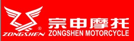 BEIJING ZONGSHEN SCIENCE AND TECHNOLOGY DEVELOPMENT CO., LTD. logo