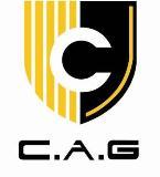 China Artex Group Co.,Ltd logo