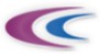 CHINA HYDROPOWER ENGINEERING CONSULTING GROUP CO. logo