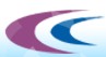 China Hydropower Engineering Consulting Group, East China Investigation and Design Institute logo