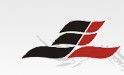 CIXI CITY FEILONG ELECTRICAL APPLIANCE CO., LTD. logo