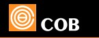 COB BEARING INC. logo