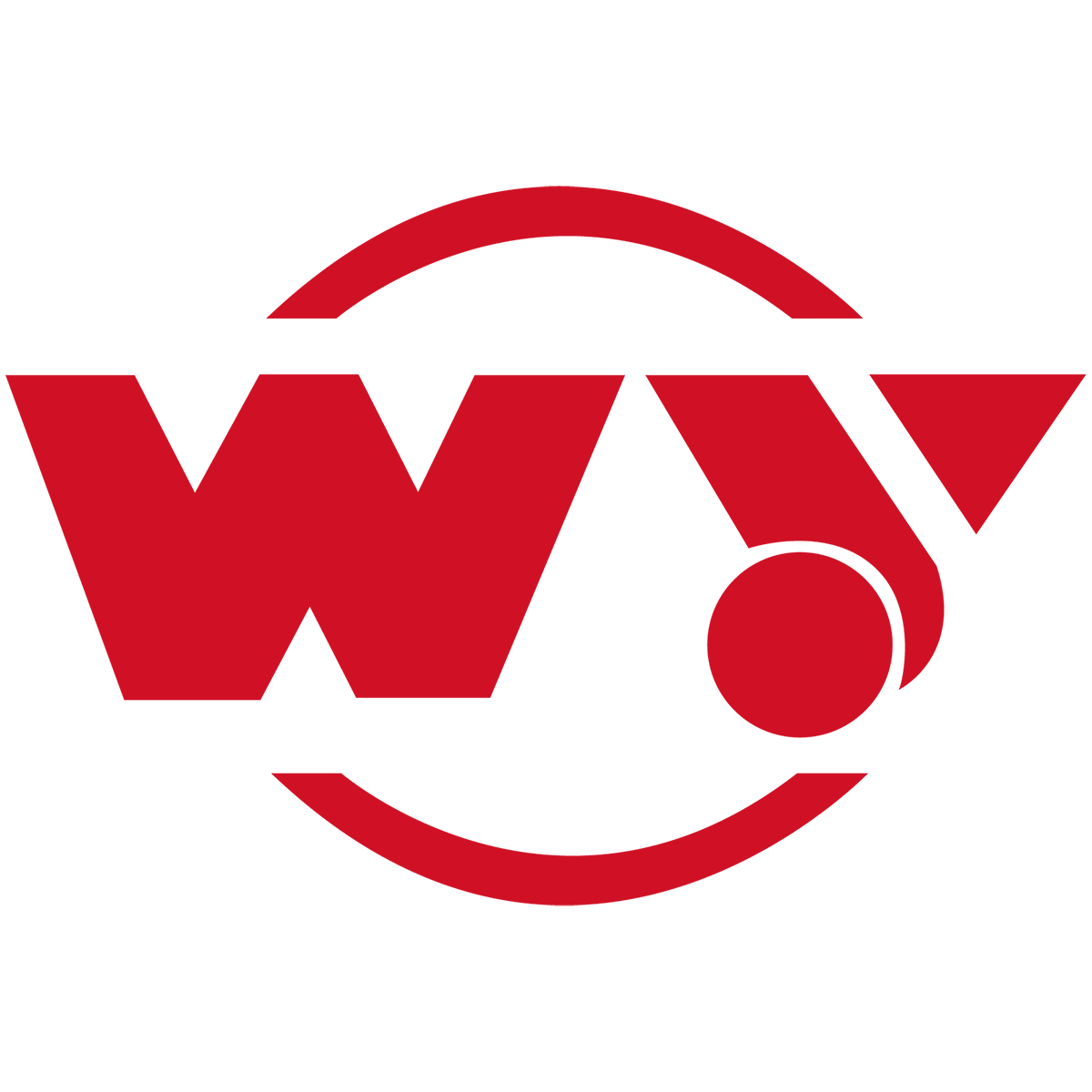 Dong Gang WeiYuan Fuel Injection Equipment co.ltd logo