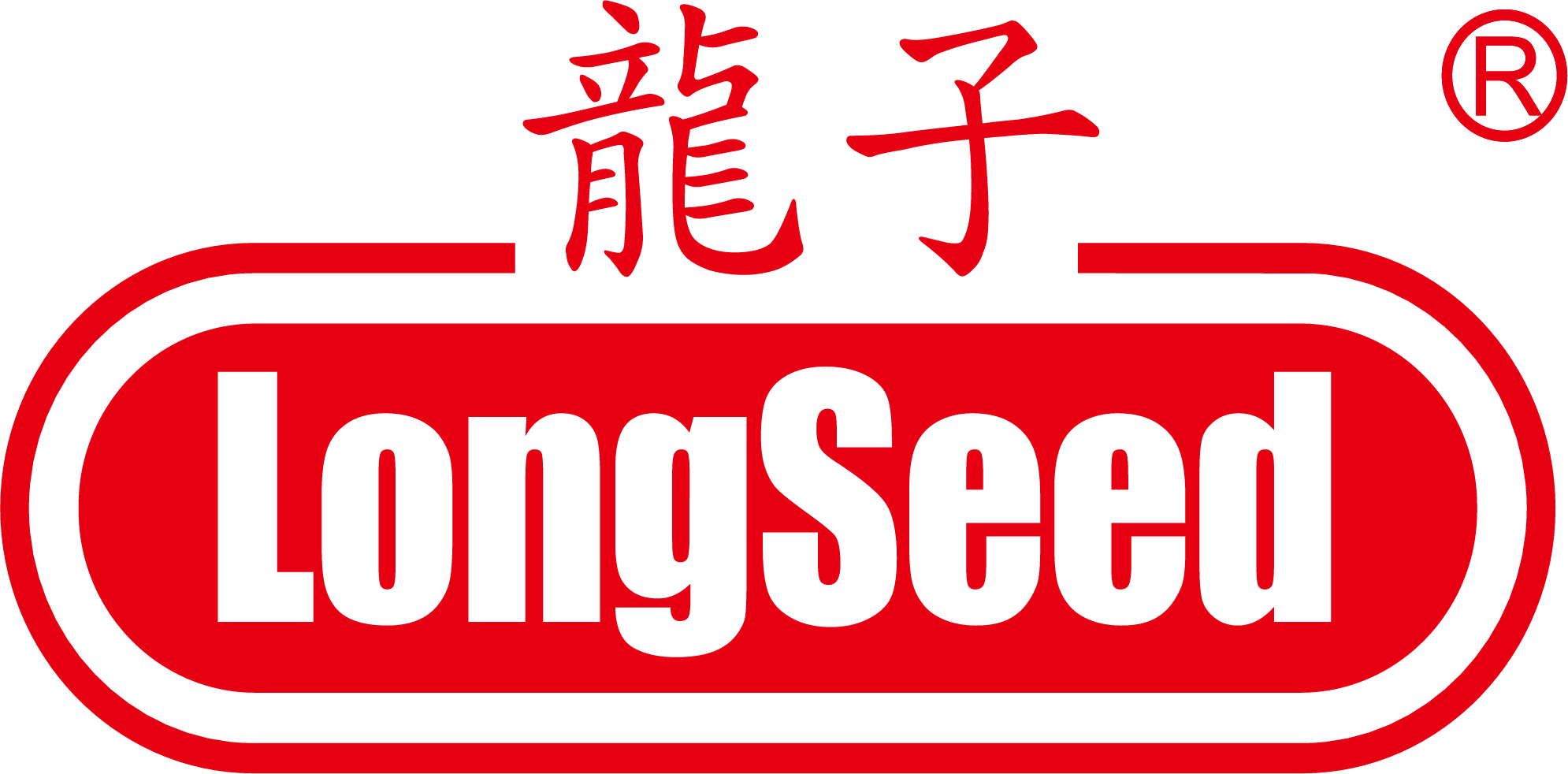 DRAGON SEED ELECTRICAL APPLIANCE COMPANY LIMITED logo