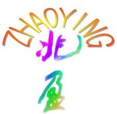 FOSHAN NANHAI ZHAOYINGTRADING LIMITED logo