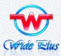 FUJIAN WIDE PLUS PRECISION INSTRUMENTS CO.,LTD. logo