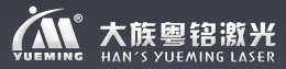 GD HANS YUEMING LASER TECH CO., LTD. logo