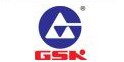 GSK CNC Equipment Co., Ltd. logo