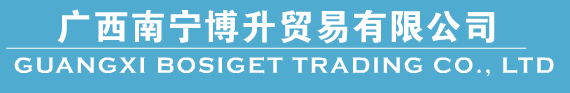 GUANGXI BISIGET TRADING CO., LTD. logo