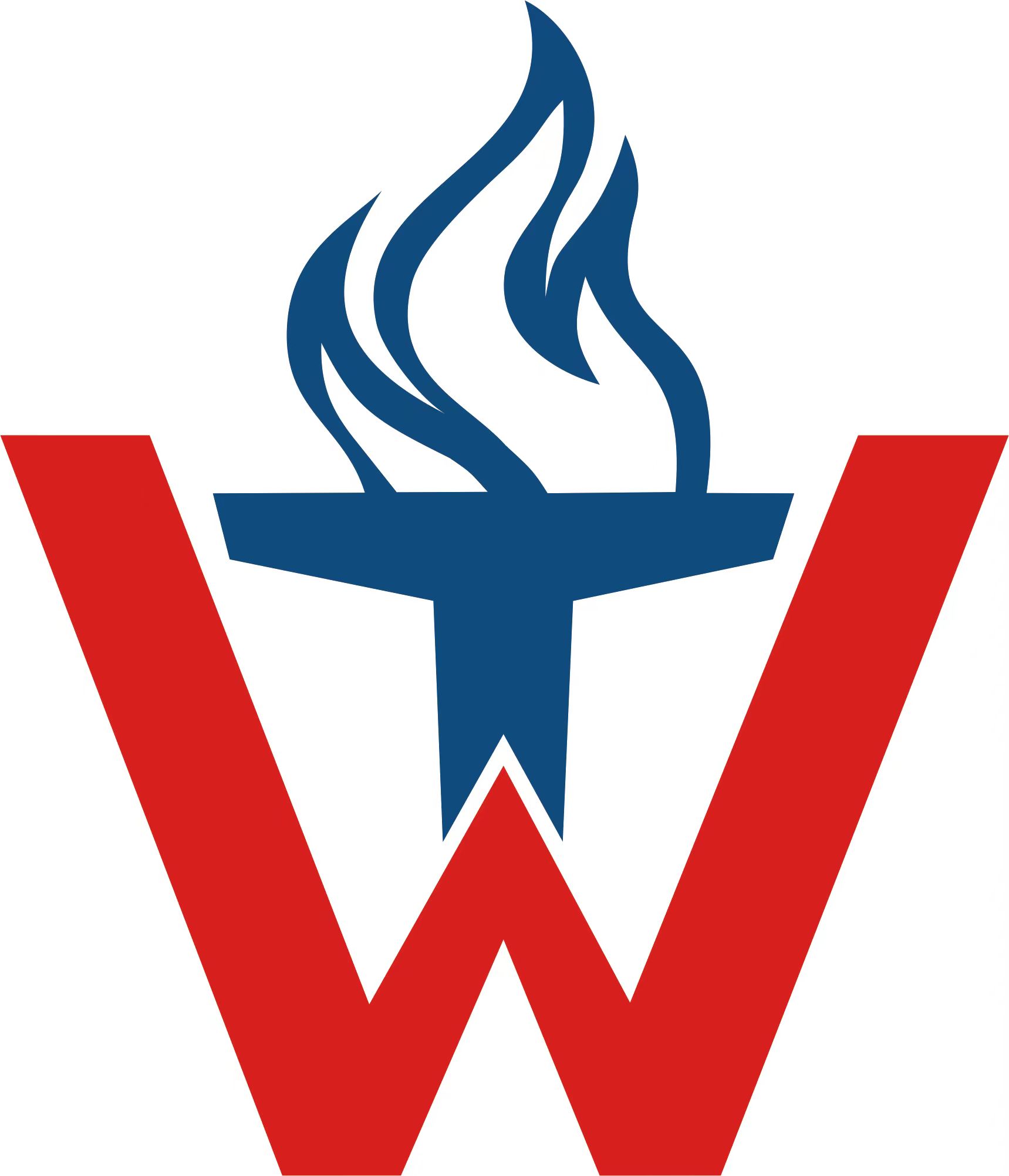 Hebei Wentai Group New Energy Co., Ltd. logo