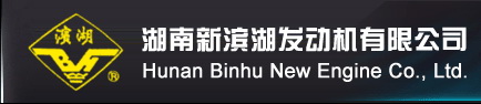HUNAN NEW BINHU ENGINE CO., LTD. logo