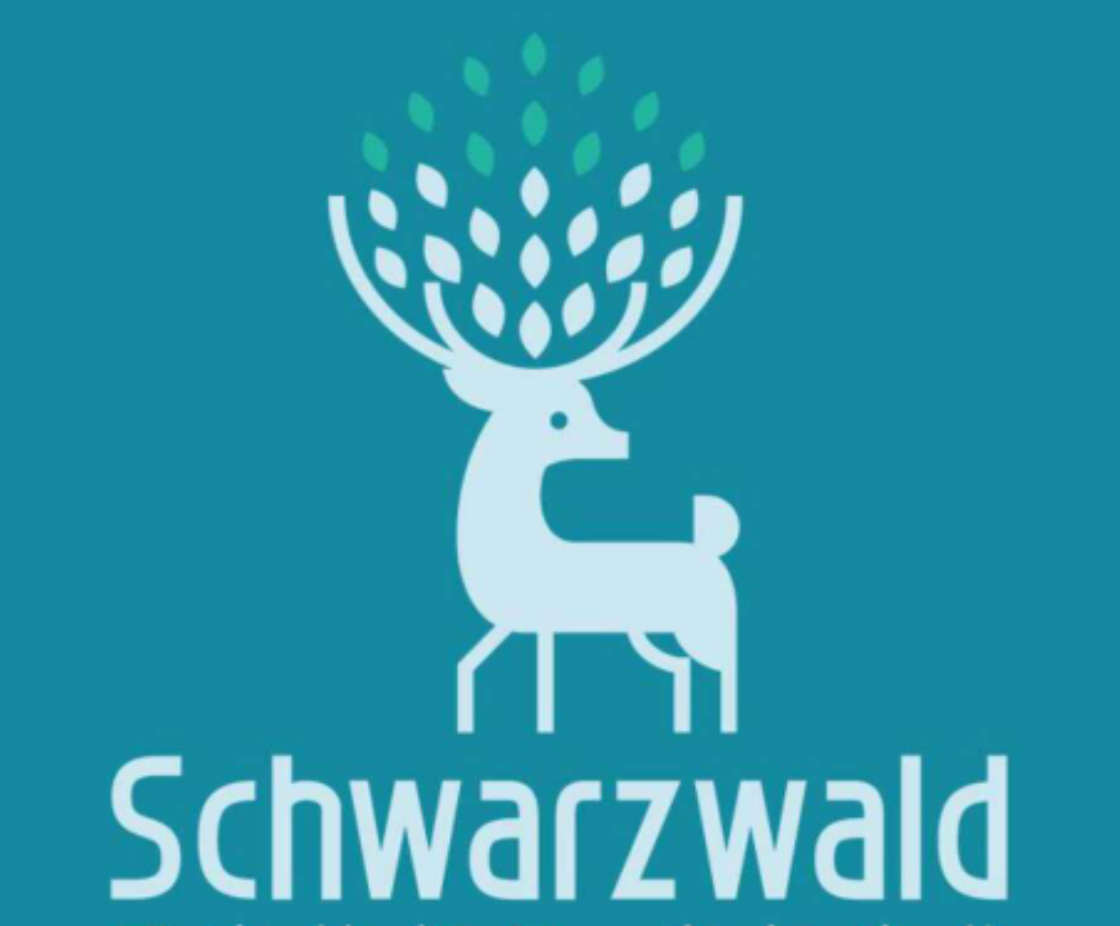 JIANGSU SCHWARZWALD TECH CO.,LTD. logo