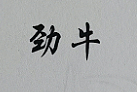 Jinhua wanchao chain Transmission Co Ltd logo