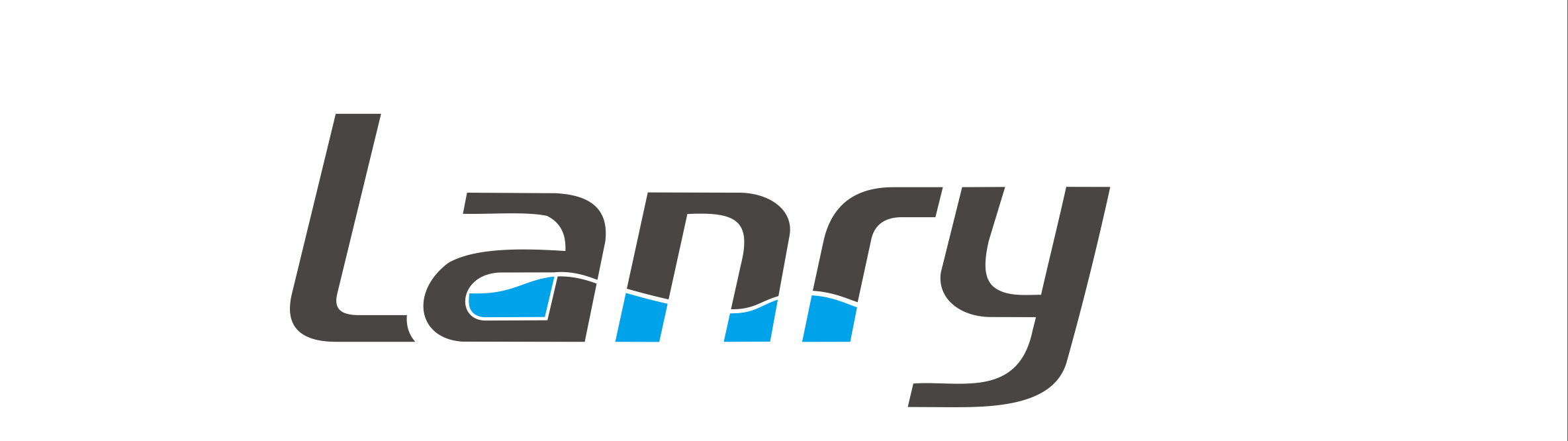 Lanry Instruments (Shanghai) Co.,Ltd logo