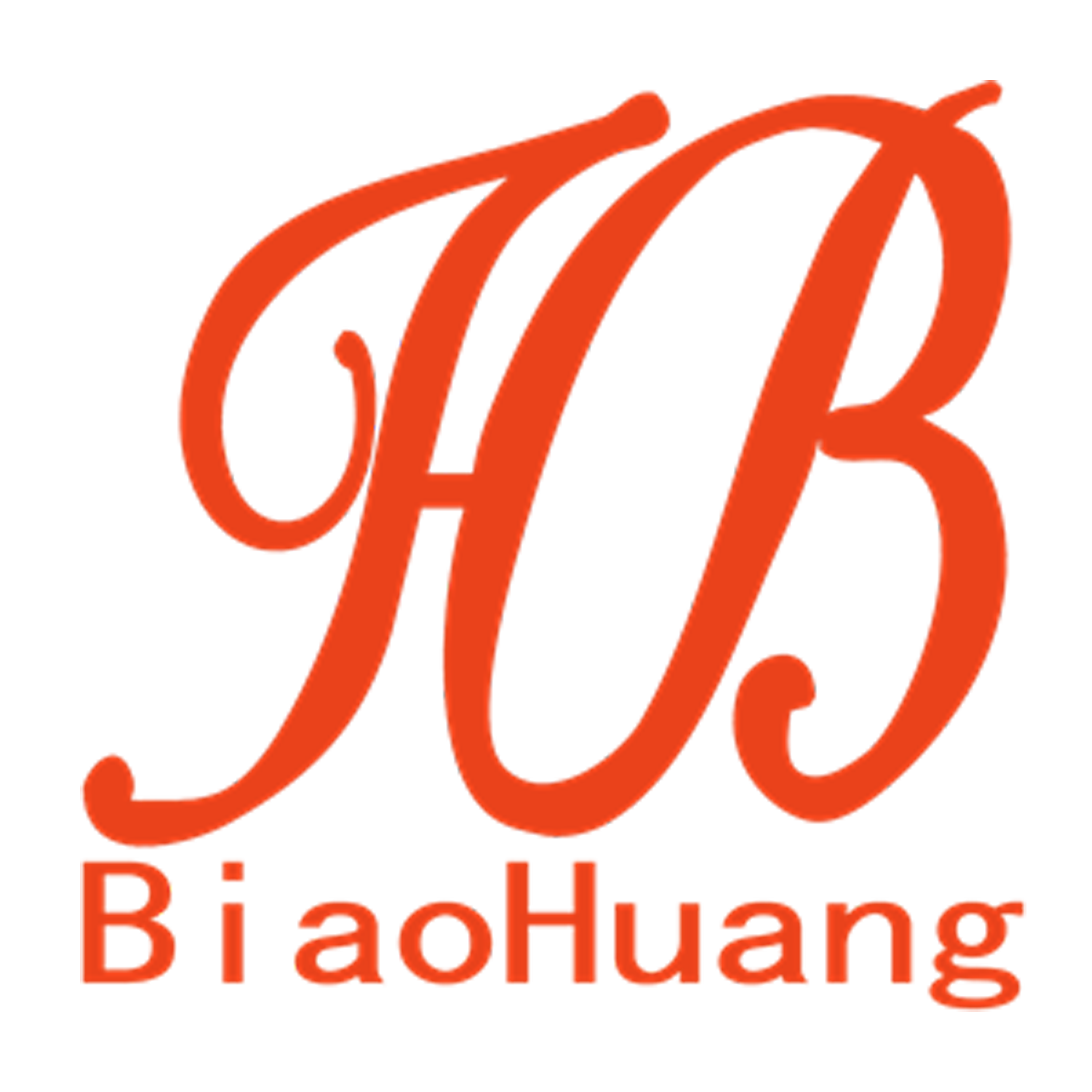 Liuzhou Biaohuang Import & Export Co., LTD. logo