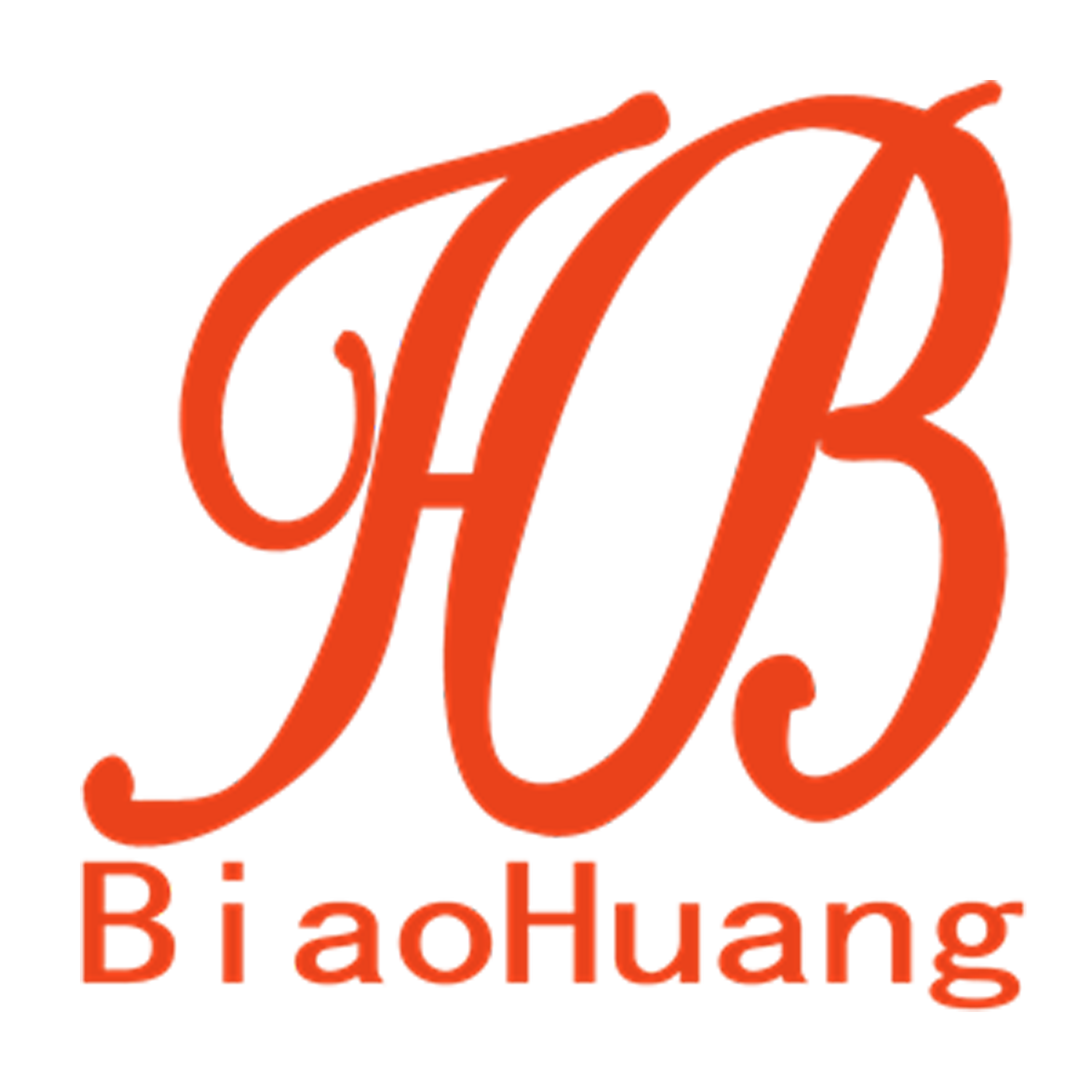 Liuzhou Biaohuang Machinery Equipment Co.,Ltd logo