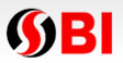 Luoyang SBI Special Bearing Co., Ltd. logo