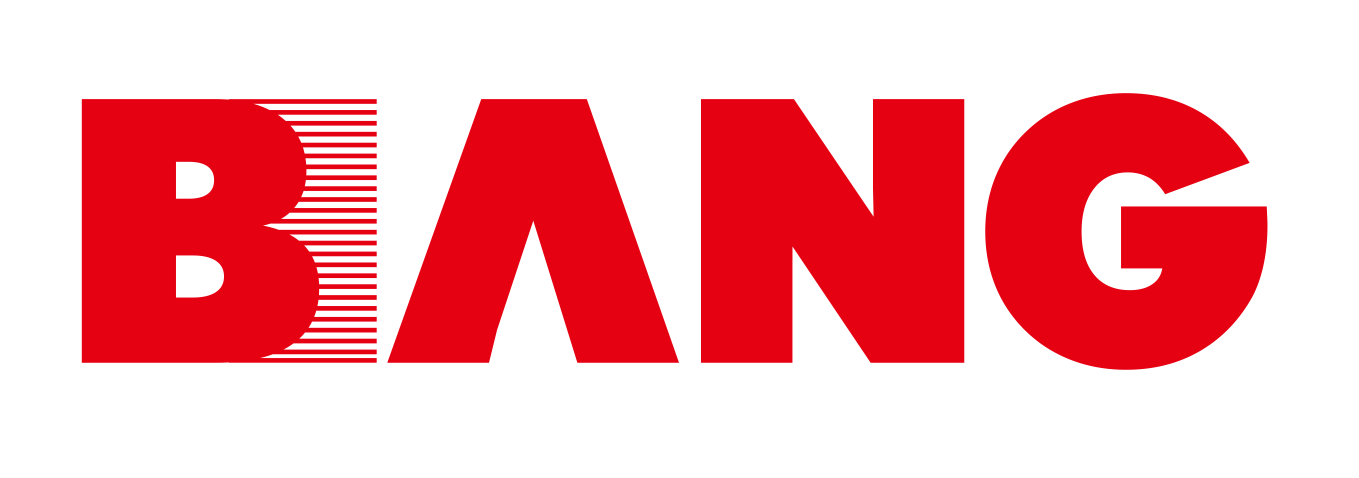 NINGBO BANGSHOU ELECTRIC CO.LTD logo