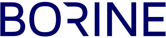 NINGBO BORINE ELECTRIC APPLIANCE CO.,LTD. logo