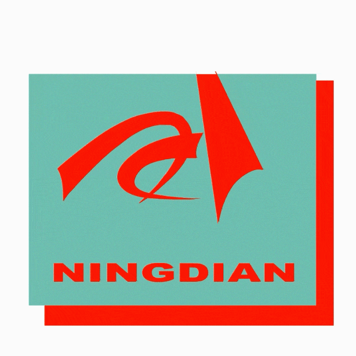 Ningbo ND Southern International Trade Co,Ltd. logo