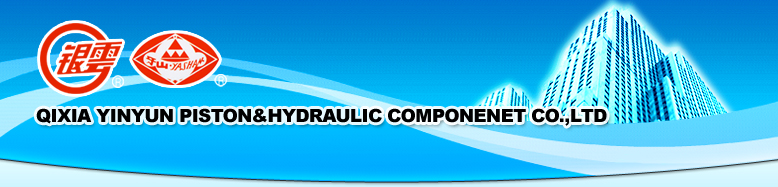 QIXIA YINYUN PISTON & HYDRALLIC COMPONENT CO., LTD. logo