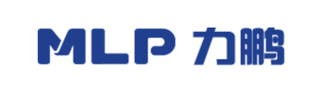Ruian Lipeng automotive motor Co., Ltd. logo