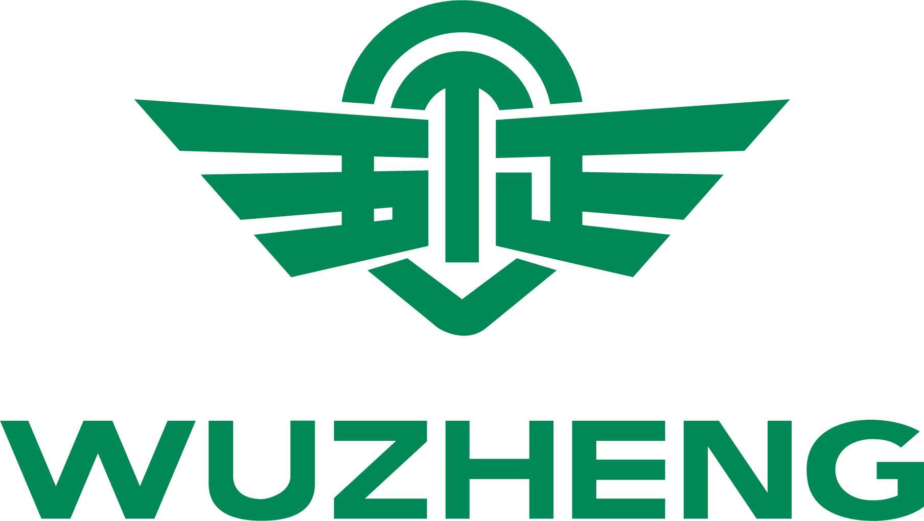 SHANDONG WUZHENG GROUP CO., LTD. logo