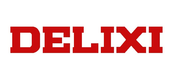 Shanghai Delixi Group Co., Ltd logo