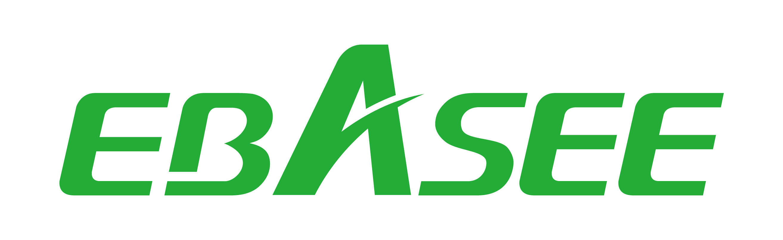 Shanghai Ebasee Electric Co., Ltd. logo