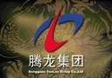 SHANGHAI RISING DRAGON INTERNATIONAL TRADE CORP. logo