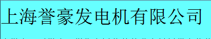 SHANGHAI YOUYOU MINDONG GENERATOR CO.,LTD. logo