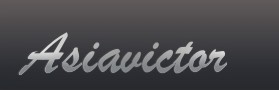 SHANTOU A & V ELECTROACOUSTICS ENTERPRISES logo