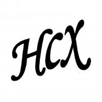 SHANTOU HAICHAOXING SCIENCE & TECHNOLOGY COMPANY LIMITED logo