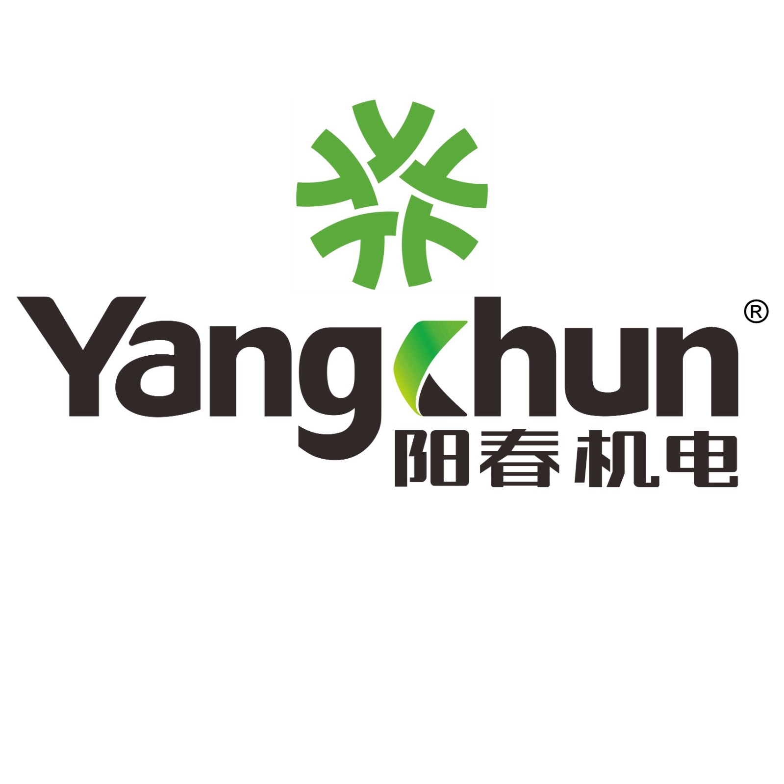 Taizhou Yangchun Electric Motor Co., Ltd. logo